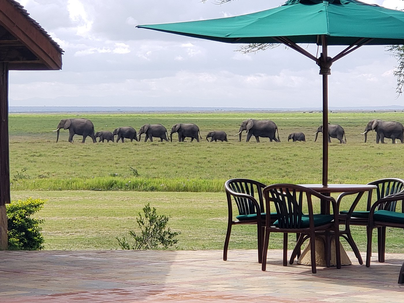 Ol Tukai Lodge Amboseli - Amboseli hotel view 7